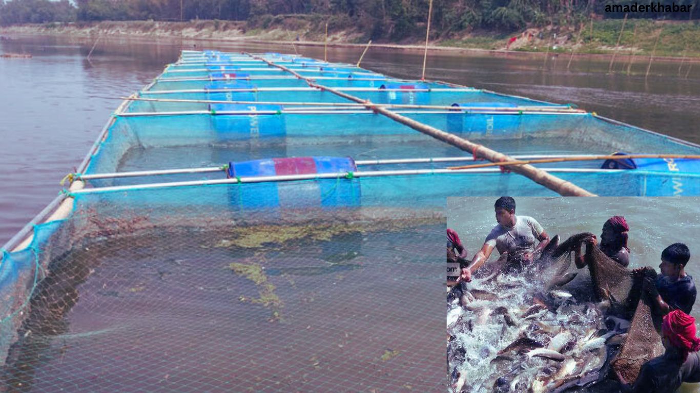 মাছ চাষ শিখতে ৭ কোটি টাকা ব্যয় প্রস্তাব