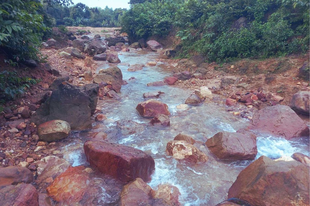 নীলিমার সন্ধান যখন পেয়েই গেছি